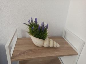 Fotografie z fotogalerie ubytování Apartamento Playmar Almeria v destinaci Almería