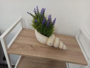 Fotografie z fotogalerie ubytování Apartamento Playmar Almeria v destinaci Almería