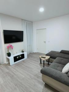 TV a/nebo společenská místnost v ubytování Balance appartment - Le Locle