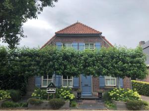 una casa azul con un árbol delante en BnB onder de Blauwe Hemel, en Vlijmen