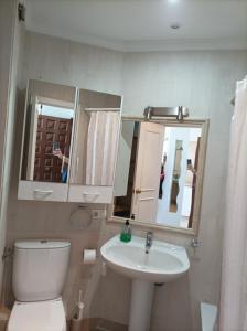 ein Bad mit einem WC, einem Waschbecken und einem Spiegel in der Unterkunft Estudio sol y playa in Algarrobo-Costa