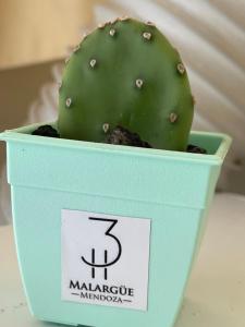 een groene cactus in een blauwe container op een tafel bij 3H MALARGÜE Monoambiente in Malargüe