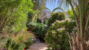Casa Rural Palomar - Men Only外面的花园
