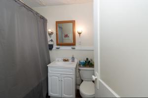 uma casa de banho com um WC, um lavatório e um espelho. em The Jazz Suite B1 em Hartford
