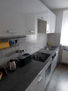 Apartman City Čakovecにあるキッチンまたは簡易キッチン