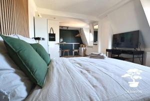 a bedroom with a bed with green pillows and a television at Suite dernier étage Saint-Maur in La Madeleine