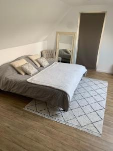 Dormitorio con cama con espejo y alfombra en Saint Martin, en Roézé-sur-Sarthe