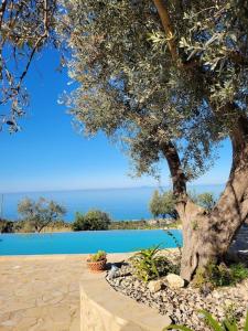 un arbre assis au-dessus d'une table à côté d'une piscine dans l'établissement Appartamento Rosmarino, à Acquedolci