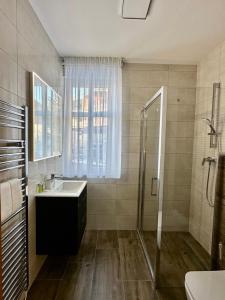 y baño con lavabo y ducha. en SYNEK Pension en Špindlerův Mlýn