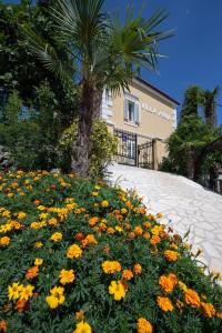 a field of flowers in front of a palm tree at Studio apartment in Ika with balcony, air conditioning, WiFi, washing machine 5025-3 in Ika +26 photos