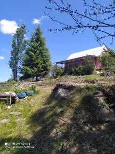 una casa en la cima de una colina con un árbol en Aike Cabañas de Montaña en San Clemente