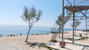 una playa con un árbol y gente en la playa en Zdenka Studio Split, en Split