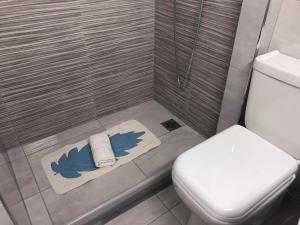 a bathroom with a shower with a toilet and a towel at Bright apartment in Nea Palatia • Oropos in Néa Palátia +38 photos