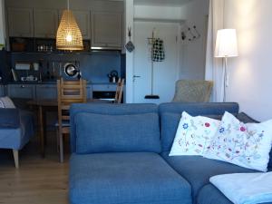 um sofá azul com almofadas numa sala de estar em H&P Touristik Residenz Grafenmatt GRA-1-1 em Feldberg