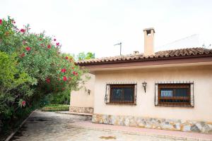 a house with two windows and a tree with pink flowers at Villa Molinos in Novelda