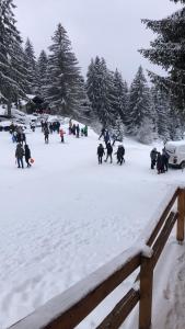 Eine Gruppe von Menschen, die im Schnee spazieren gehen in der Unterkunft Planinska kuća Vlašić in Vlasic