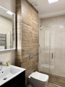 a bathroom with a toilet and a sink and a shower at SYNEK Pension in Špindlerův Mlýn