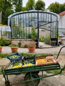 a cart full of vegetables in a garden at Château De La Bûcherie in Saint-Cyr-en-Arthies