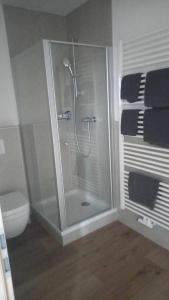 a bathroom with a shower and a toilet at Katjas Ferienwohnungen in Giebelstadt