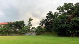 O grădină în afara The Greenwood Resort, Guwahati