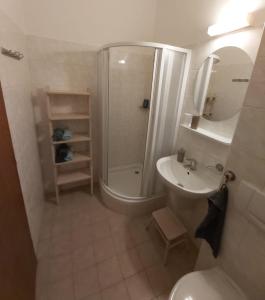 a bathroom with a shower and a toilet and a sink at Apartmán Tony Slapy in Slapy