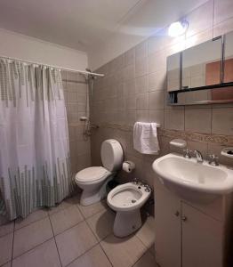 y baño con aseo, lavabo y ducha. en Luxury Spinetto en Santa Rosa