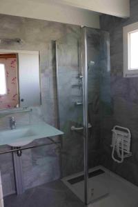 a bathroom with a shower and a sink at Paradis des Outardes in Beauvoisin