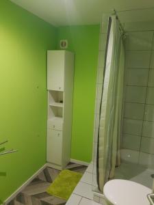 baño verde con ducha y lavamanos en Le Blarsois, en Blars