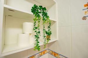 a green plant hanging from a shelf in a bathroom at 127 - Lovely 2 Bed Apartment with Parking in Galway