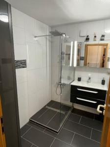 La salle de bains est pourvue d'une douche et d'un lavabo. dans l'établissement Komplettes Apartment - 2 Zimmer Wohnung, à Kehl