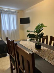 a dining room table with a potted plant on it at Departamentos Hipolito Yrigoyen in San Rafael