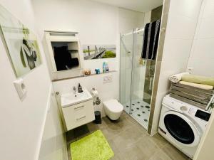 Un baño con inodoro, lavabo y ducha. en 2 Room Galerie Einliegerwohnung in Rheinstetten, Messe Nähe, Rollstuhlfahrer geeignet, en Rheinstetten