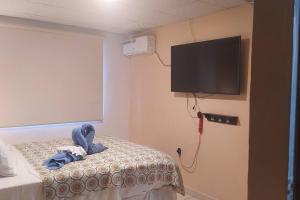 Cette chambre comprend un lit et une télévision à écran plat. dans l'établissement Casita Independiente, Ubicada Atrás de Nuestra Casa, à David