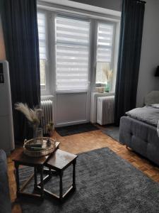 ein Wohnzimmer mit einem Sofa und einem Couchtisch in der Unterkunft Apartment Mohr am Semmering in Semmering