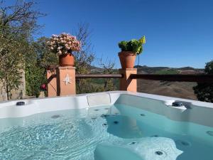 a jacuzzi tub with two potted plants at Finca Sábila in Valle de Abdalagís