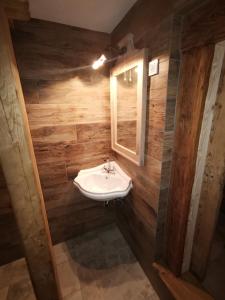 La salle de bains est pourvue d'un lavabo et d'un miroir. dans l'établissement Apartma kašča, à Domžale