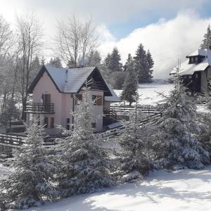 Planinska Kuca Tara / Mountain House Tara v zimě