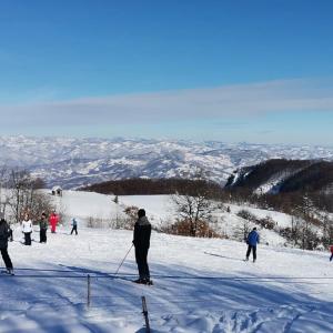 Planinska Kuca Tara / Mountain House Tara v zimě