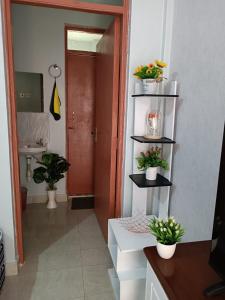 un pasillo con plantas en las estanterías de una habitación en Epic homes, Secure1 bedroom furnished partment, ample Parking and WiFi available en Nyeri
