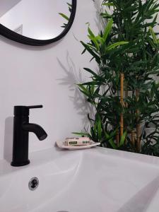 a bathroom sink with a black faucet and a plant at Entre Uzès et le Pont du Gard le Cocon de SOPHIA à deux pas des Gorges du Gardon in Collias