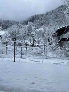 een met sneeuw bedekte tuin met een hek en bomen bij Landhaus Marmorata in Sattendorf