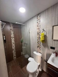 a bathroom with a toilet and a shower and a sink at Lindo apartamento en Guatapé in Guatapé