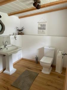a bathroom with a white toilet and a sink at La Maison Bett & Bike in Pritzwalk