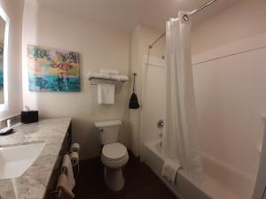 Simple Suites Boise Airport的一间浴室