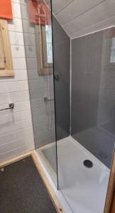 a shower with a glass door in a bathroom at Woodland Cabin with Hot tub & log burner in Barmouth