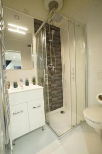 a bathroom with a shower and a toilet at Suzan's apartment in the heart of Budapest in Budapest +12 photos