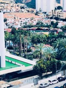 a view of a city with palm trees and cars at Parc Loix apartment in Benidorm