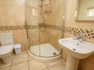a bathroom with a shower and a sink and a toilet at Little Bicton in Craven Arms