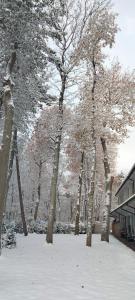 un grupo de árboles con nieve en el suelo en Apartamenty Plażowa 11 en Darlowko