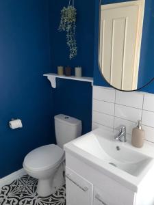 niebieska łazienka z toaletą i umywalką w obiekcie Dublin City Apt - Guinness museum & Temple Bar w Dublinie